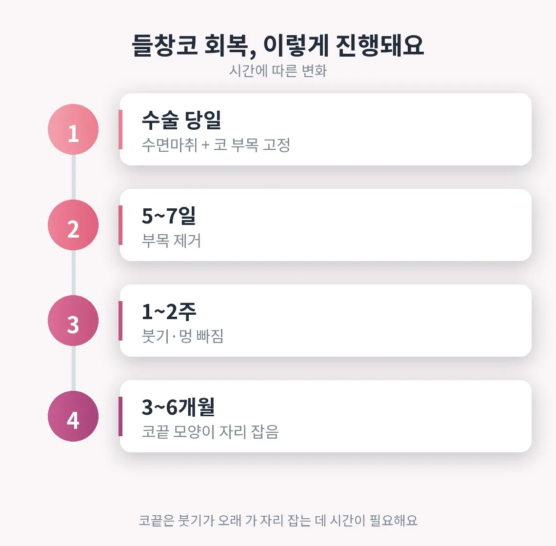 들창코 관련 이미지