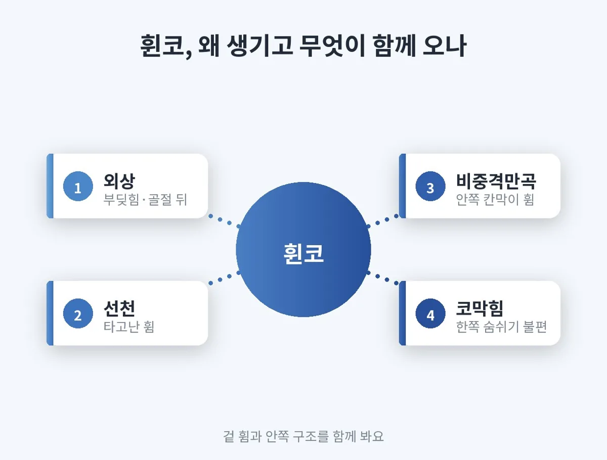 휜코 관련 이미지