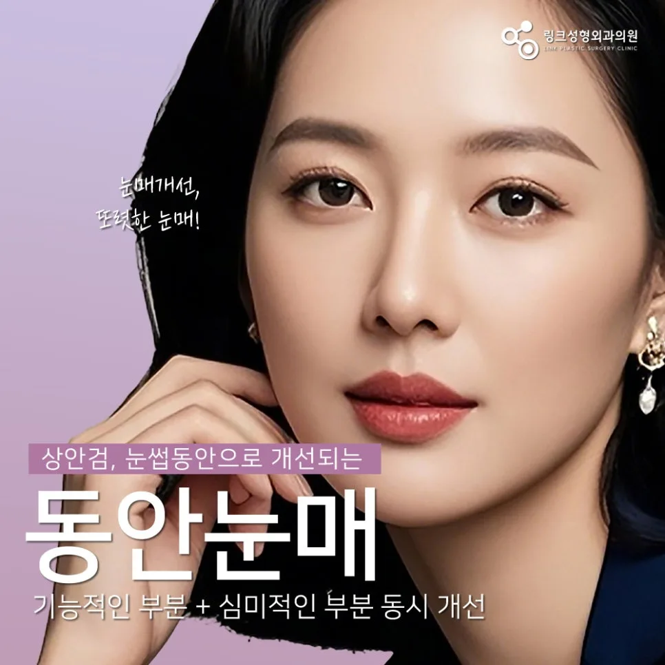 눈썹거상 관련 이미지