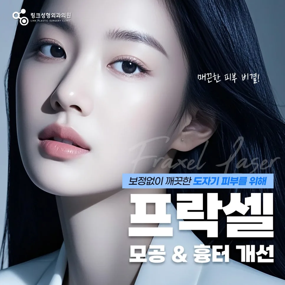 프락셀 관련 이미지