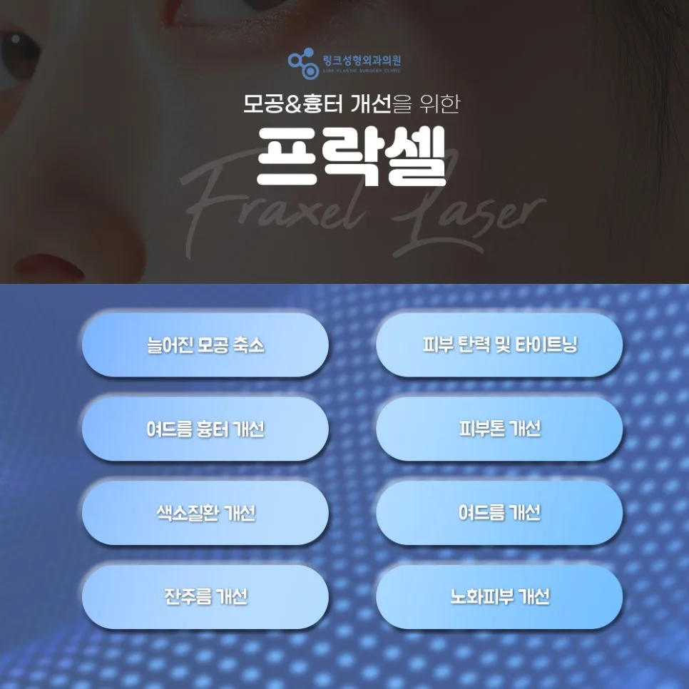 프락셀 관련 이미지