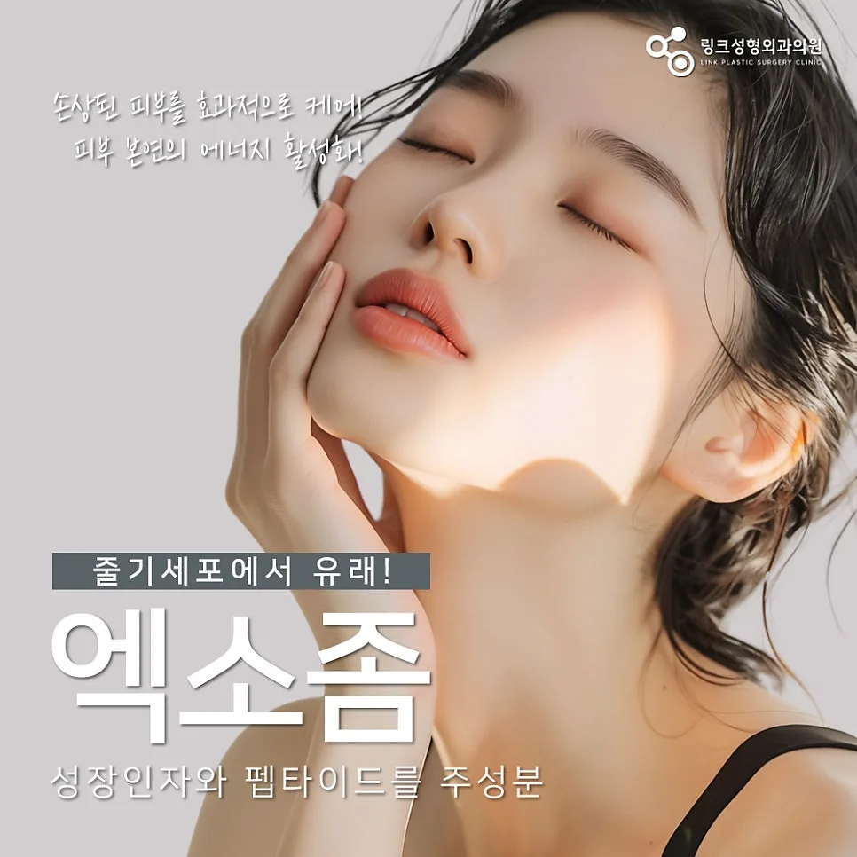 스킨부스터 관련 이미지