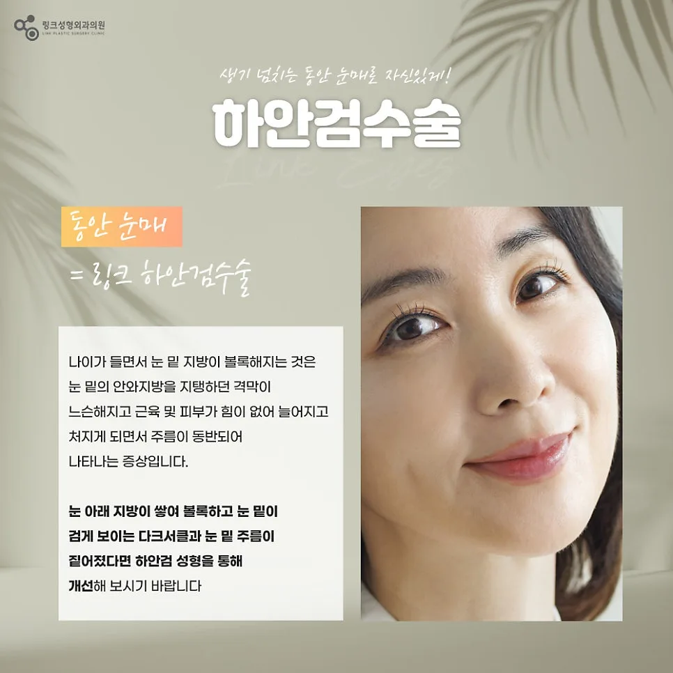 하안검 관련 이미지