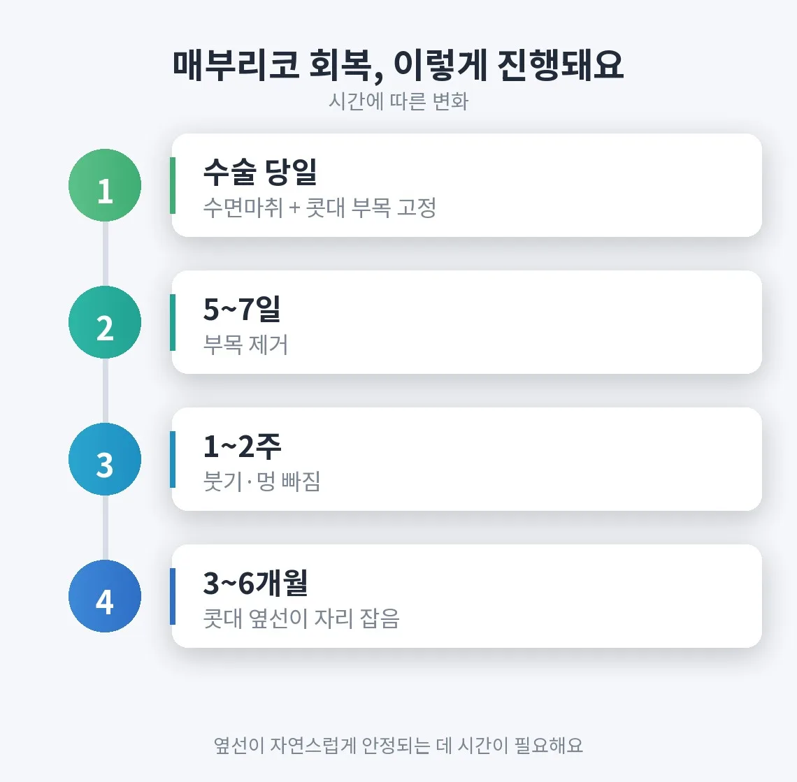 매부리코 관련 이미지