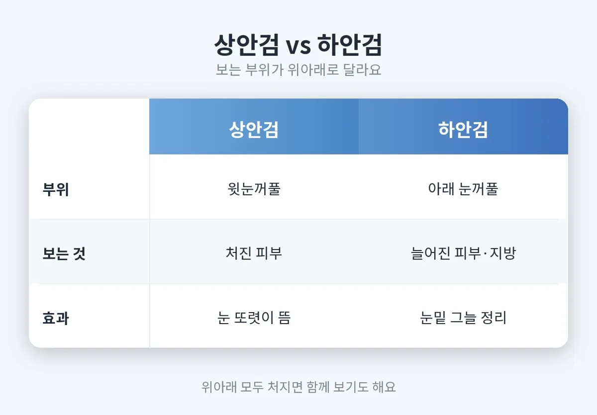 하안검 관련 이미지