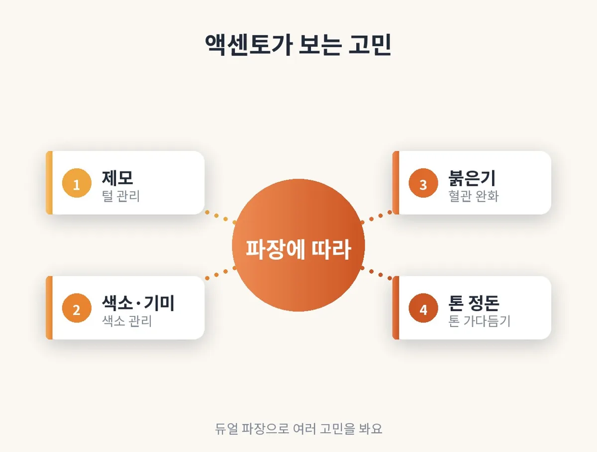 액센토 관련 이미지