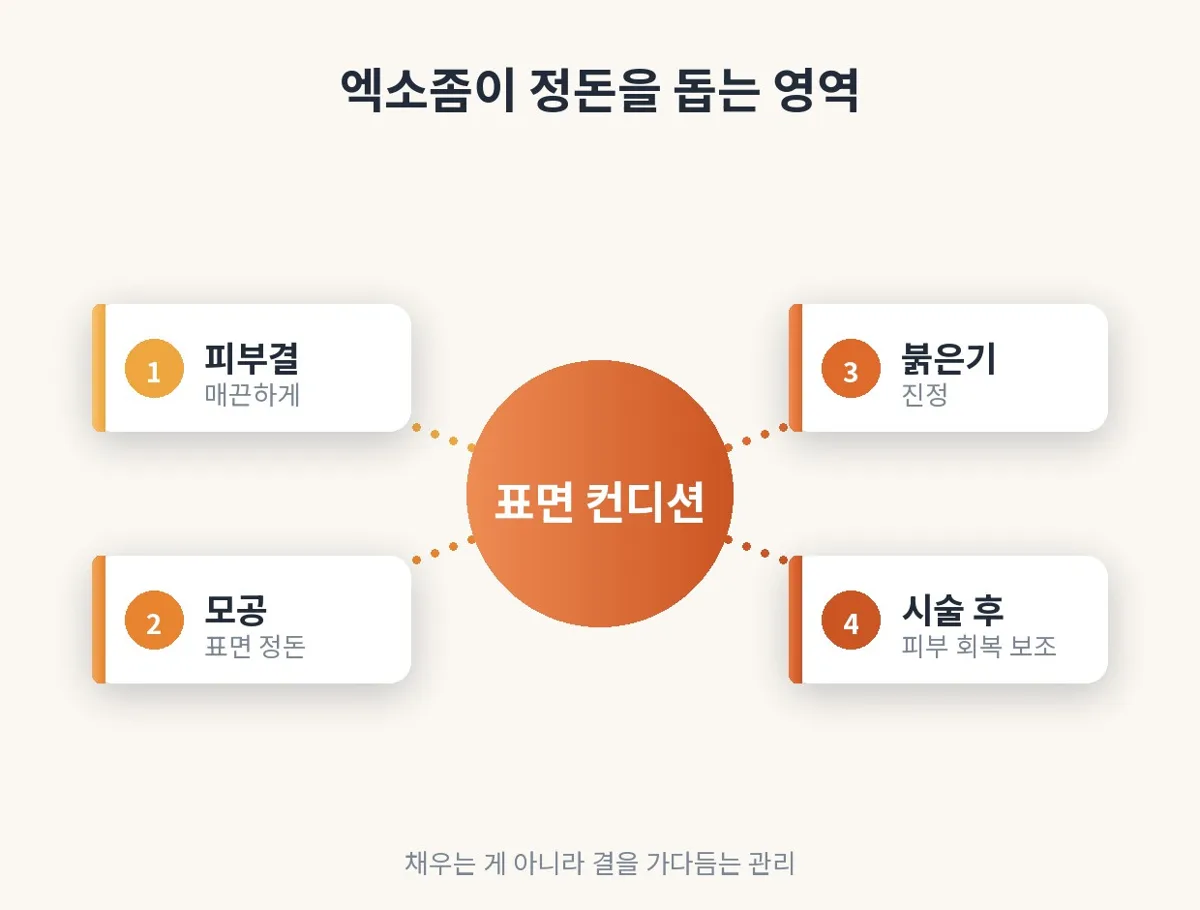 엑소좀 관련 이미지