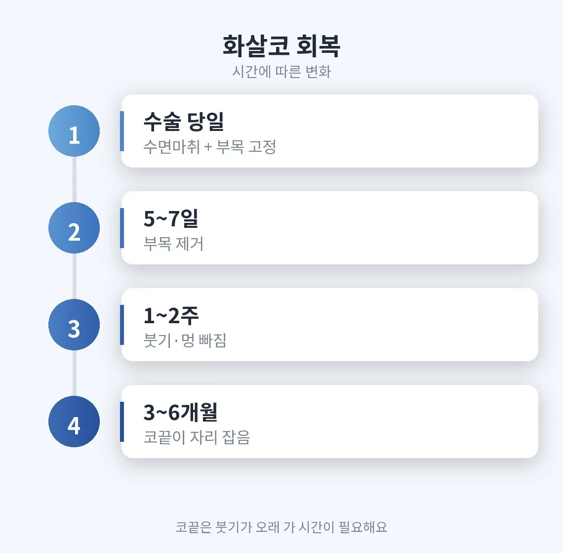 화살코 관련 이미지